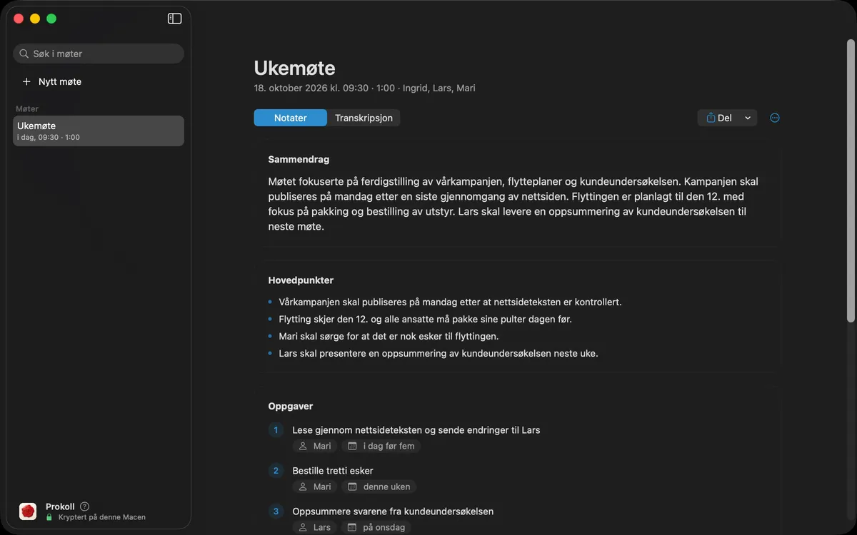 En del av notatene kopieres, klar til å limes inn i en e-post.